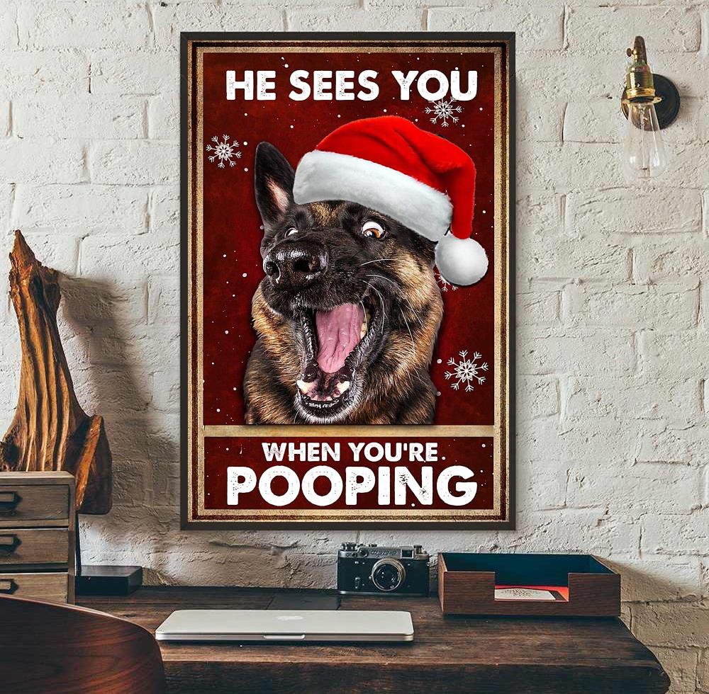 German shepherd pooping in hot sale house