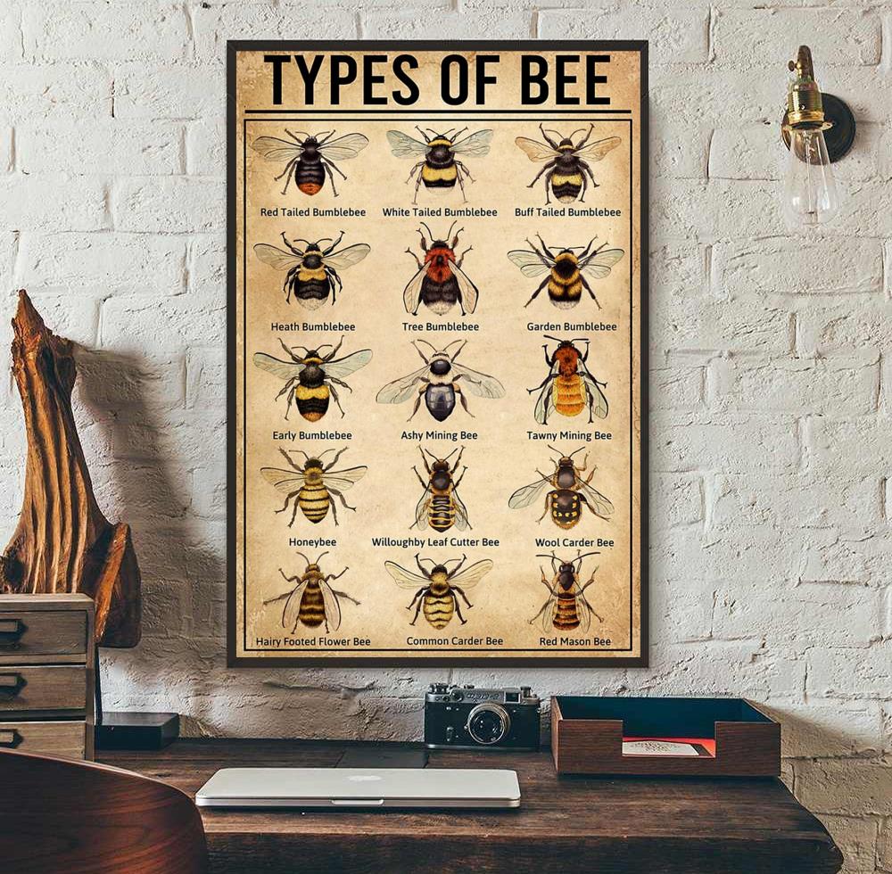 Types of bee breeds of bee poster canvas