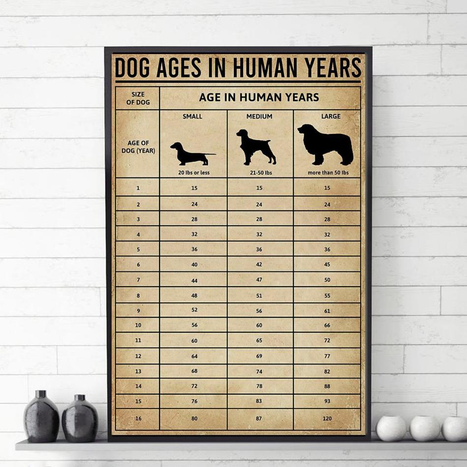 Animal 16 Years Old In Dog Years Dog Ages In Human Years Knowledge