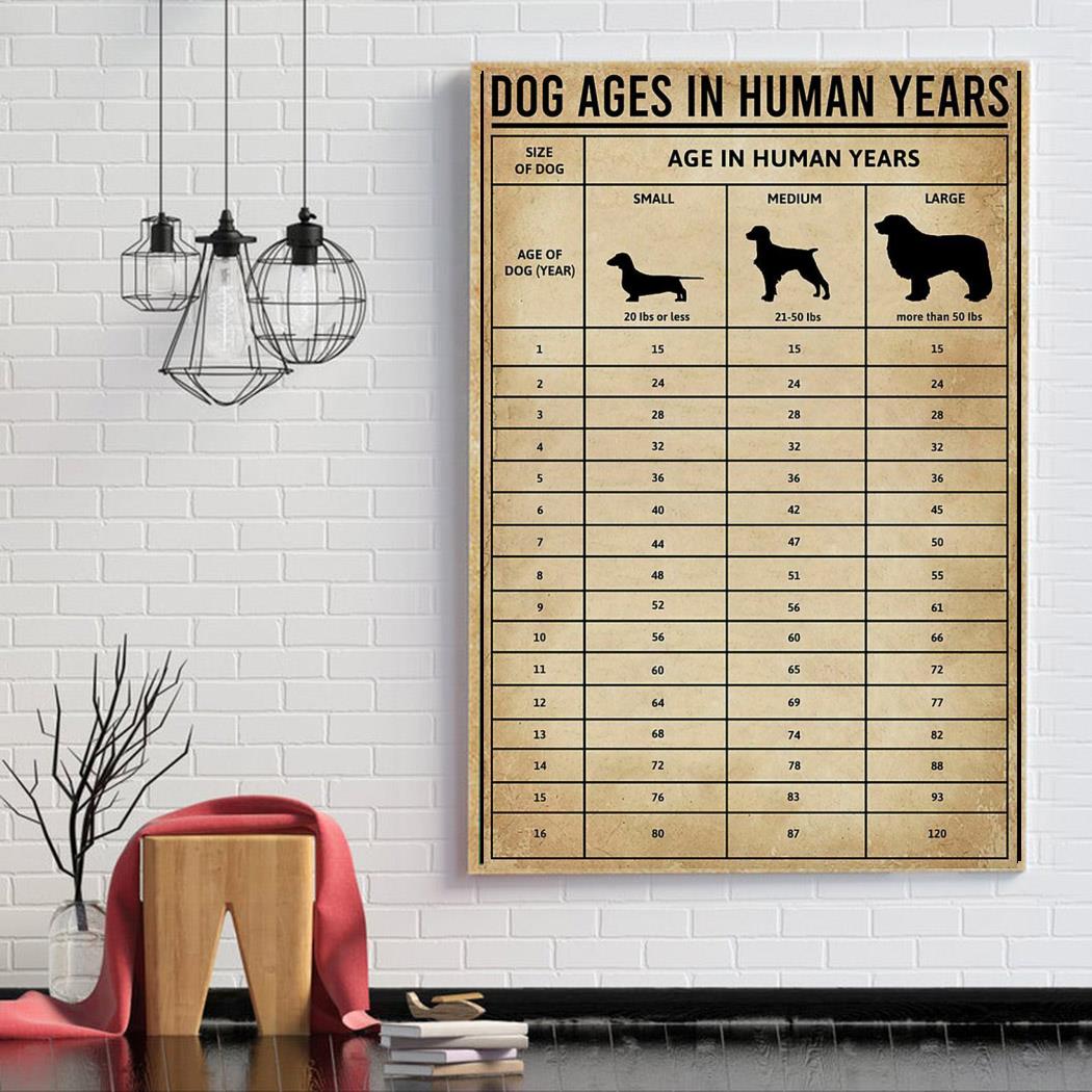 how old is 65 years in dog years