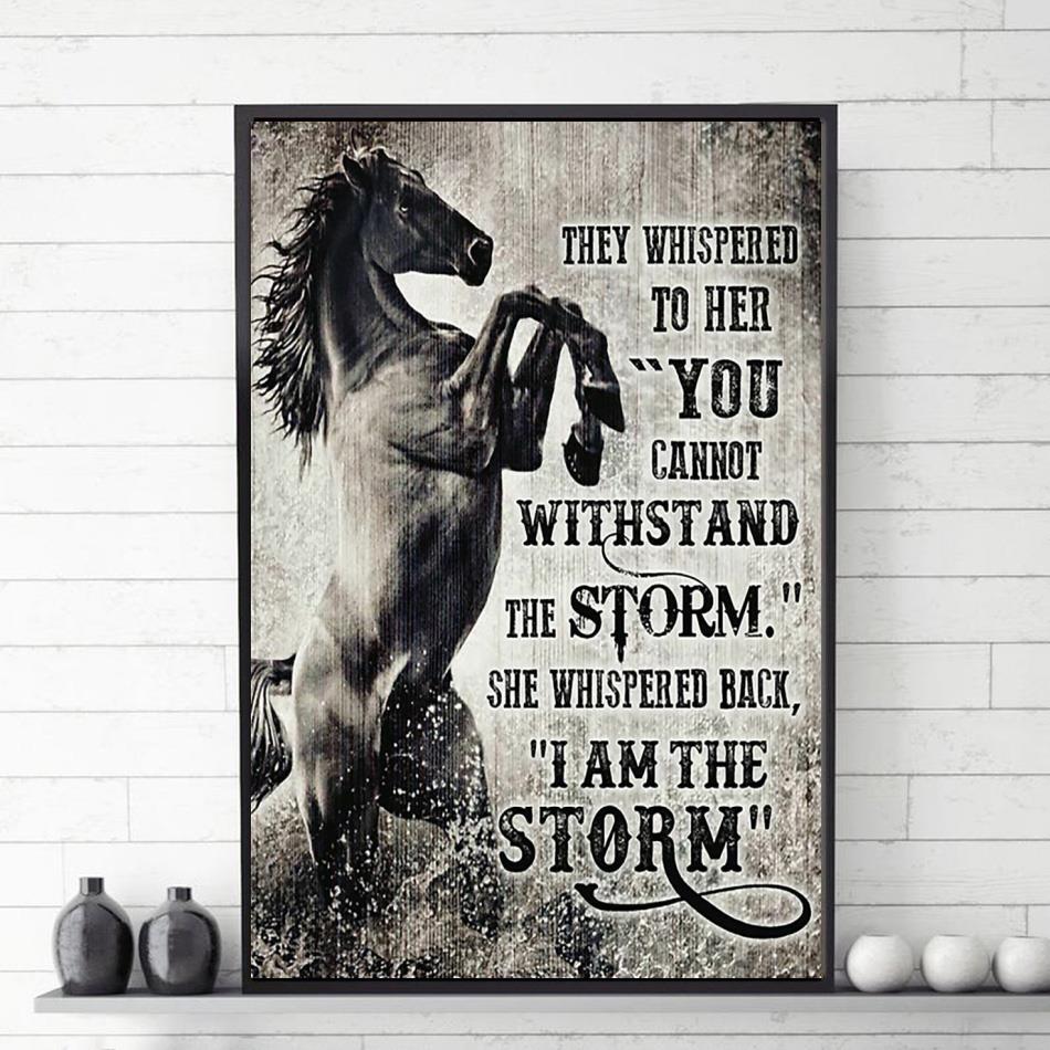 Horse I am the storm wall poster canvas