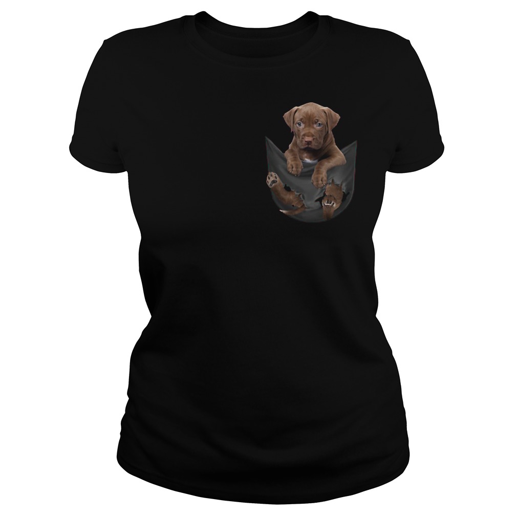 pitbull pocket shirt