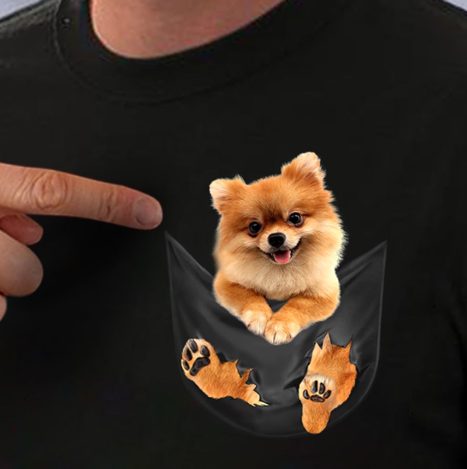 Pomeranians In Pocket Tee Shirts Pomeranians In Pocket Tee Shirts
