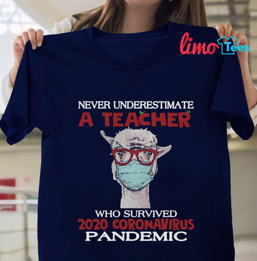 Never Underestimate A Teacher - Never Underestimate A Teacher